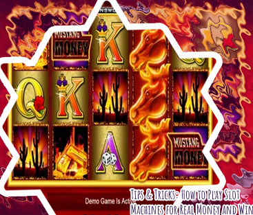 Real slot machines for money